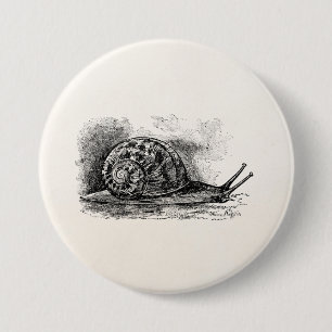 Vintage Crawling Snail Antique Template 7.5 Cm Round Badge