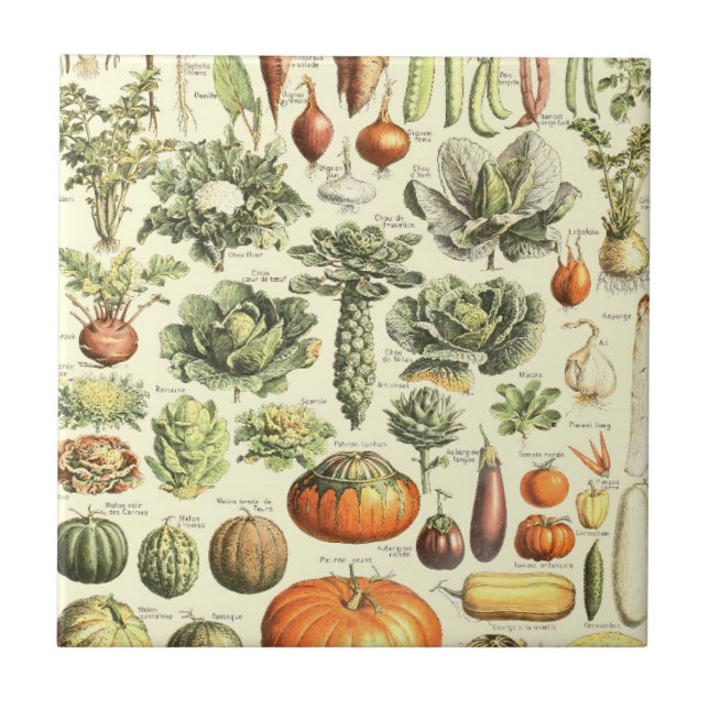 Vintage Cream Vegetables Pattern Tile (Front)