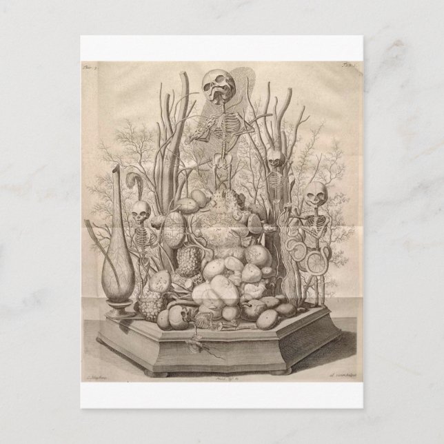 Vintage Creepy Skeletons, Skulls and Trees Postcard (Front)