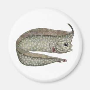 Vintage Crested Oarfish Fish, Marine Aquatic Life Magnet