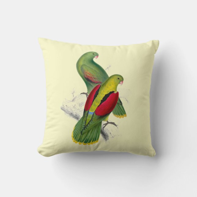 Vintage Crimson Winged Parakeet Cushion (Front)