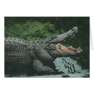 Vintage Crocodile Reptiles, Marine Animal Life