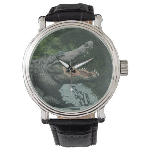 Vintage Crocodile Reptiles, Marine Animal Life Watch