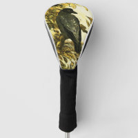 Vintage Crow Perched on a branch Theo van Hoytema