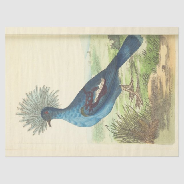 Vintage Crowned Blue Bird Ephemera Decoupage Tissue Paper (Front)