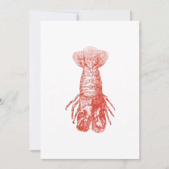Vintage Crustacean Biological Illustration (Front)