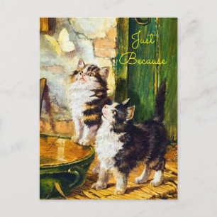 Vintage Curious Kittens Butterfly Art Just Because Postcard