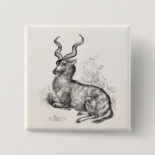 Vintage Curly Horn Gazelle Antelope Personalised 15 Cm Square Badge