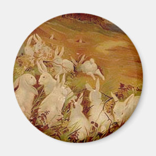 Vintage Cute Animal Easter   Bunny  Magnet