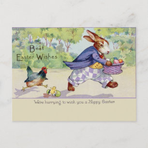 Vintage Cute Animal Easter  Postcard