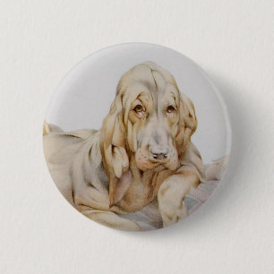 Vintage Cute Bloodhounds, Puppy Dogs by EJ Detmold 6 Cm Round Badge