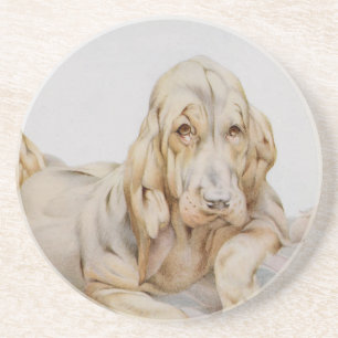 Vintage Cute Bloodhounds, Puppy Dogs by EJ Detmold Coaster