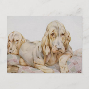 Vintage Cute Bloodhounds, Puppy Dogs by EJ Detmold Postcard