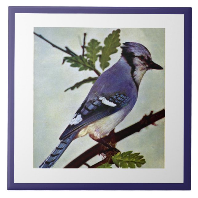 Vintage Cute Blue Colourful Bird and Foliage Tile (Front)