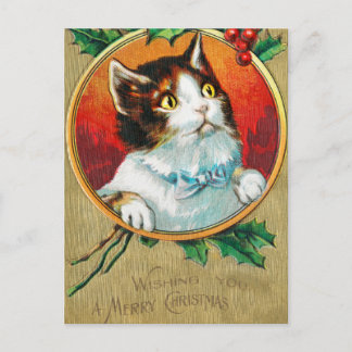 Vintage Cute Cat Wishing you a Merry Christmas Holiday Postcard