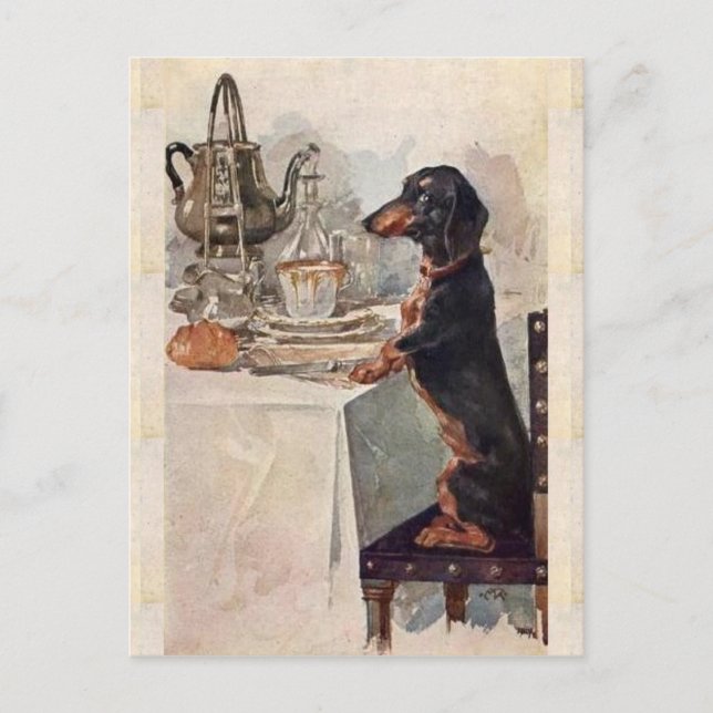 Vintage Cute Dachshund Drinking Tea Postcard (Front)