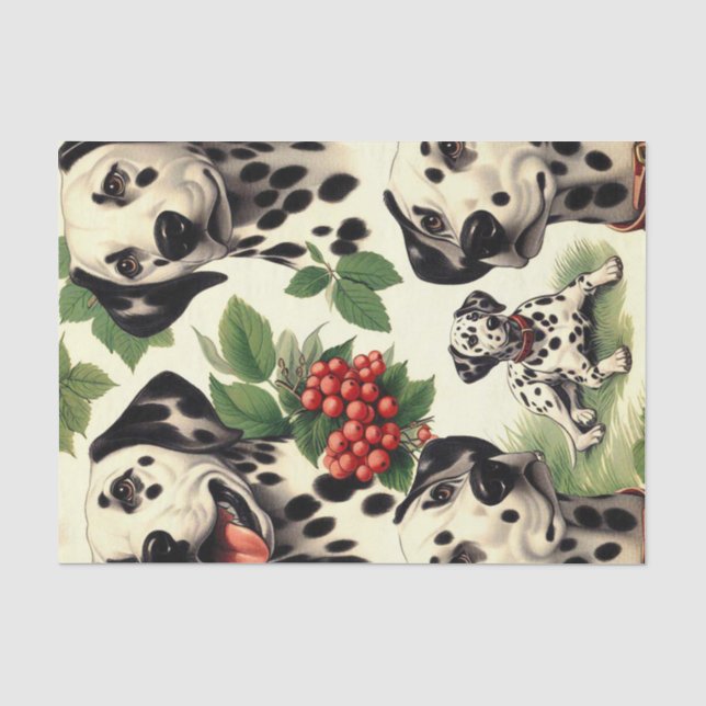 Vintage Cute Dalmatian Illustration Tissue Paper (Front)