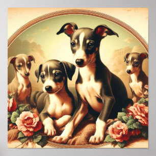 Vintage Cute Italian Greyhound Painting Poster