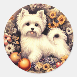 Vintage Cute Maltese Classic Round Sticker