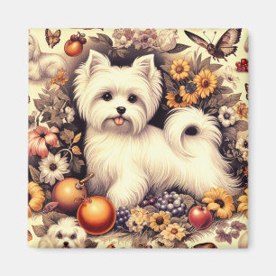 Vintage Cute Maltese Magnet