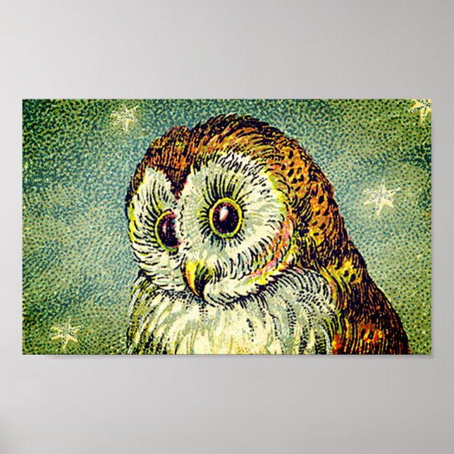 Vintage cute owl illustration poster (Front)