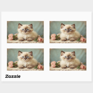 Vintage Cute Persian Ragdoll Kitten Cat Portrait Rectangular Sticker