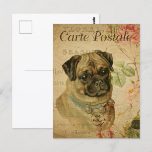 Vintage Cute Pug Dog Postcard