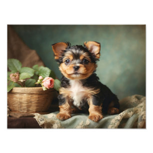 Vintage Cute Puppy Dog Yorkshire Terrier Portrait Photo Print