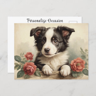 Vintage Cute Puppy Portrait Border Collie Rose Dog Postcard