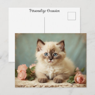 Vintage Cute Ragdoll Kitten Portrait Flowers Sweet Postcard