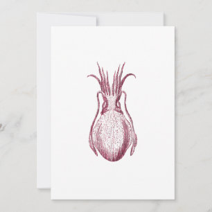Vintage Cuttlefish Illustration Pattern