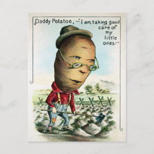 Vintage Daddy Potato Postcard