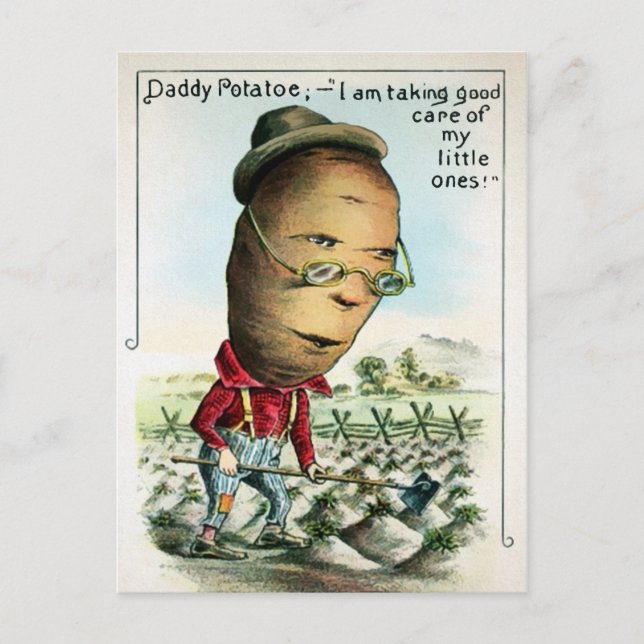 Vintage Daddy Potato Postcard (Front)