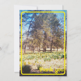Vintage Daffodil Thank You Card