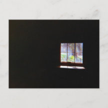 Vintage Daffodil Window Postcard