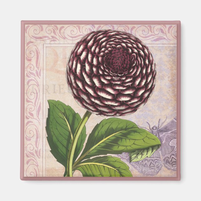 Vintage Dahlia Botanical Collage Damask Background Magnet (Front)