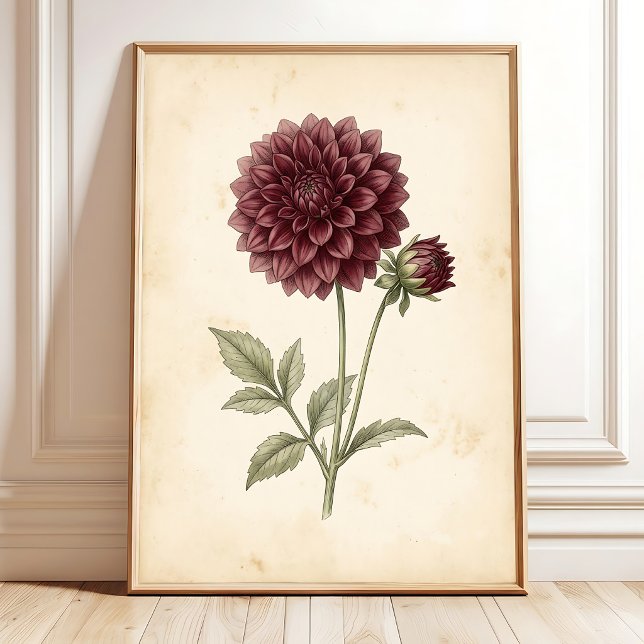 Vintage Dahlia Flower Wall Art (Creator Uploaded)