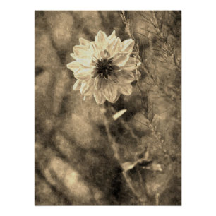 Vintage Dahlia Old Photo Painting Effect Poster