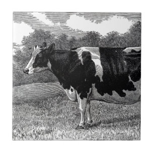 Vintage Dairy Cow Tile
