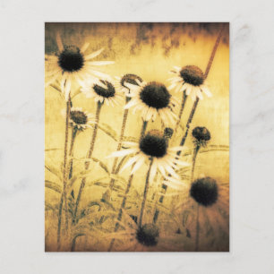 Vintage daisies