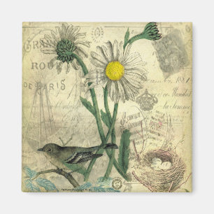 Vintage daisies magnet