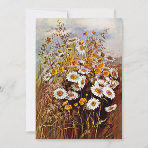 Vintage Daisy Buttercup Wildflowers  Holiday Card