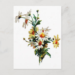 *Vintage Daisy* Flower Art Postcard
