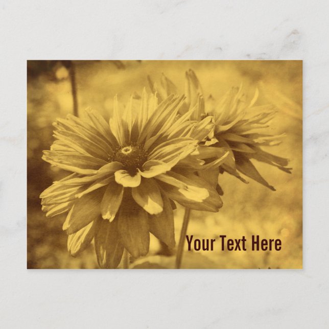 Vintage Daisy Flowers Customisable Postcard (Front)