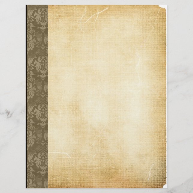 Vintage Damask Border Paper Background Flyer (Front)