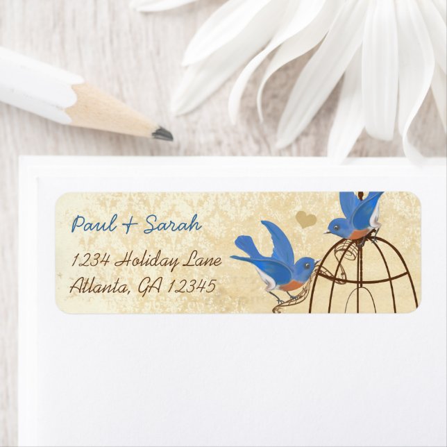 Vintage Damask Lucky Bluebirds Brown Bird Cage (Insitu)