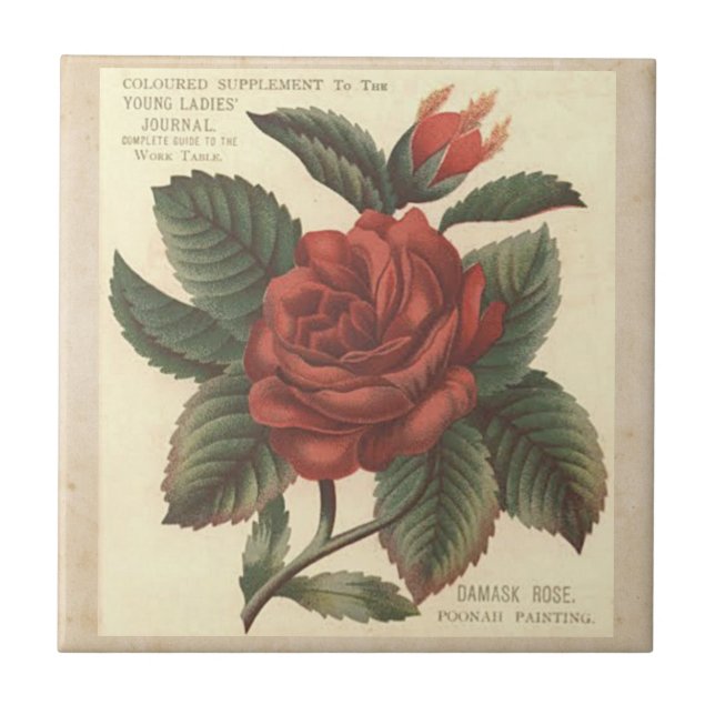 Vintage Damask Red Rose Tile/Trivet Tile (Front)