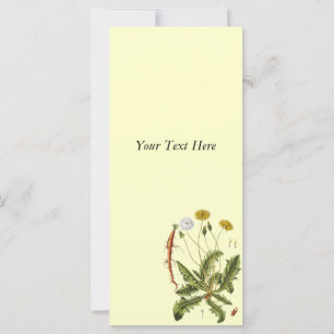 Vintage Dandelion Illustration