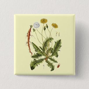 Vintage Dandelion Illustration 15 Cm Square Badge