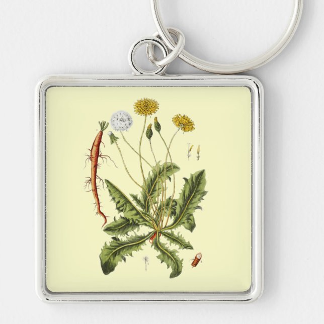 Vintage Dandelion Illustration Key Ring (Front)